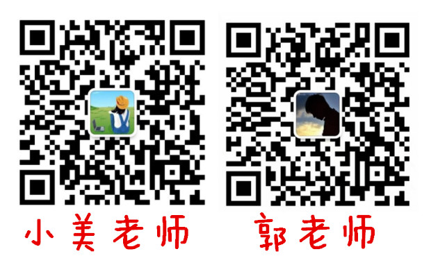 雙.jpg